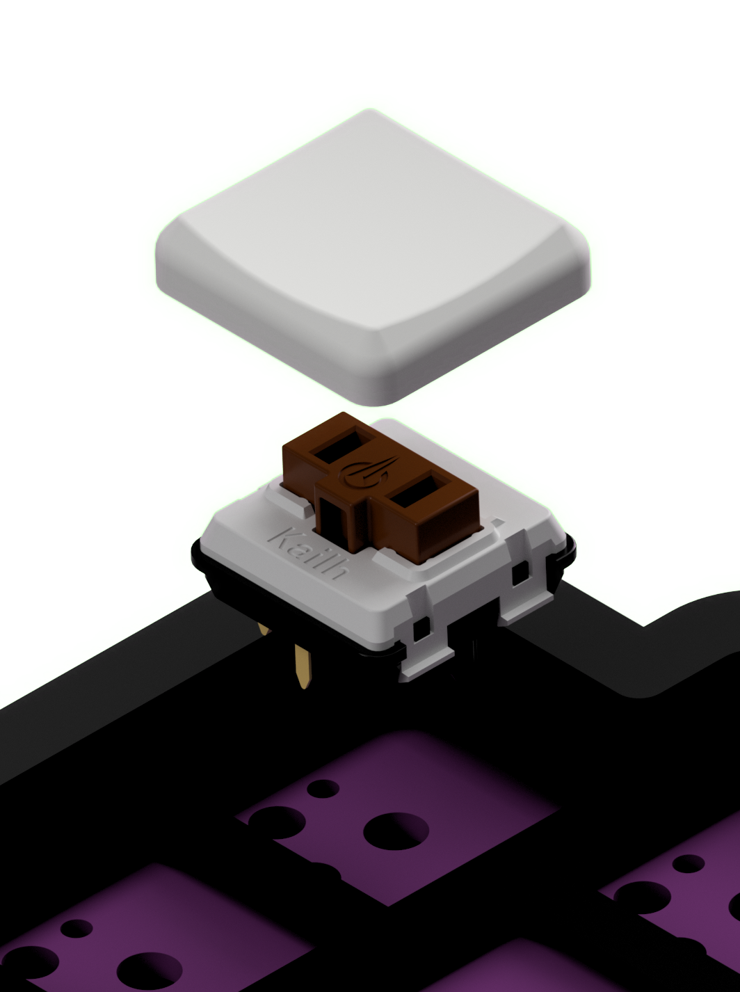 Picture of Inserting Switches